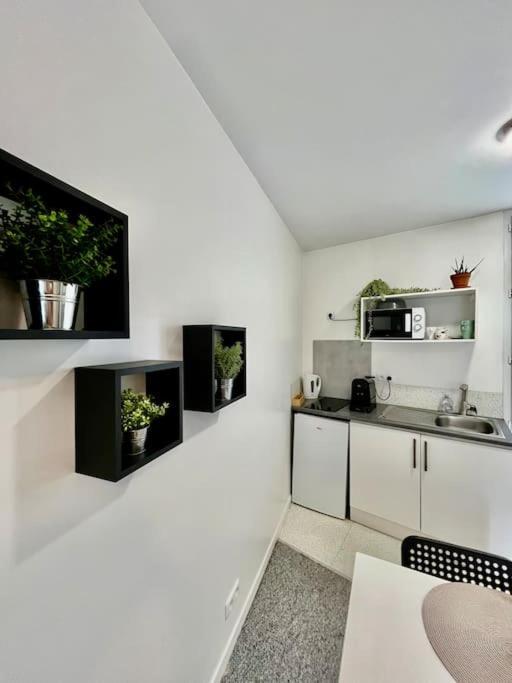 Studio 3 Rue Theodore Bac - Dabnb Limoges Esterno foto